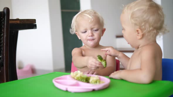 White Vegan Twin Toddlers Eating Broccoli for Lunch with Joy