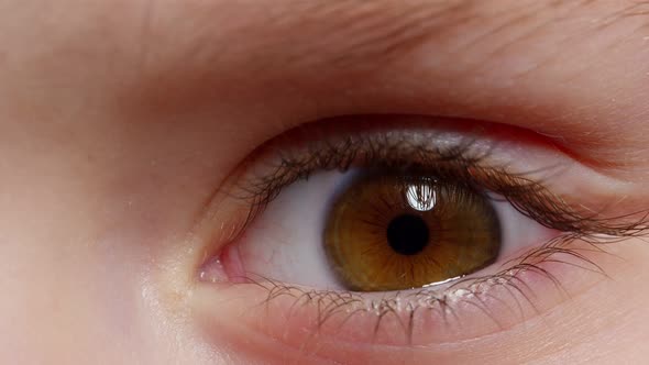 Highly Detailed Macro Shot Opening Closing Brown Color Pigmentation Eyes of Little Children Girl