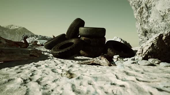 Old Tires Overgrown Embedded in the Sand