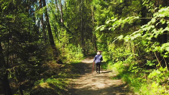 B Ack View Senior Woman Exercise In Forest