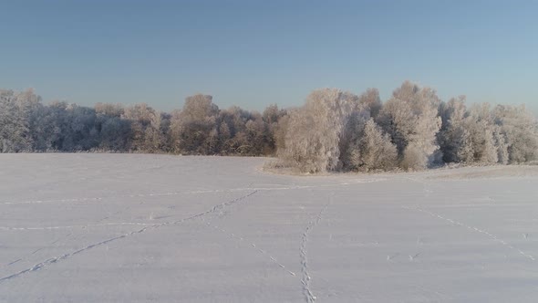 Winter Landscape in Countryside