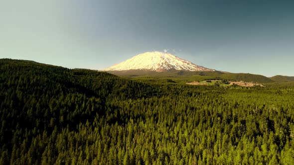 Sunset Light on Mt