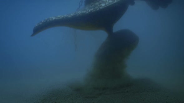 Lamp In Sand Underwater Picked Up