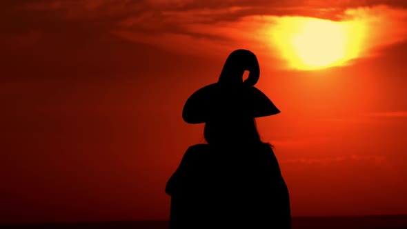 Outdoors Silhouette Sorceress Conjures with a Potion