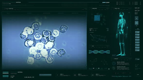 Division Of Contagious Infection Cells Researched In Medical Analysis Software