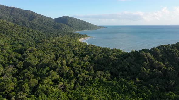 Cape Tribulation and Daintree Rainforest aerial over lush wilderness, Queensland, Australia