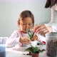 Little child girl replant a flower at home, indoor - VideoHive Item for Sale