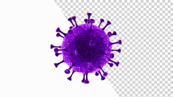 Corona Virus Visualization Covid 19 V8