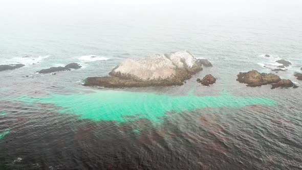 Bird's eye view of the bird island on the coast of the Pacific Ocean. Monterey Beach, California