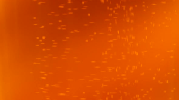 Detail of Beer Bubbles Slowmotion Footage