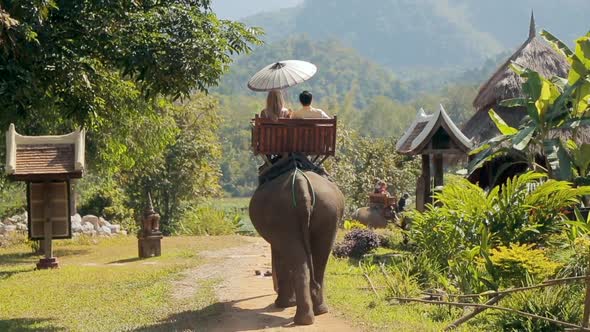 Elephant Village in Remote Asian Area.