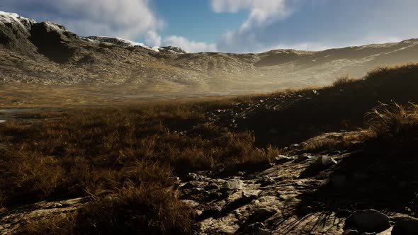 Stones Covered with Grass and Moss Under Bright Sky of Nepal alt