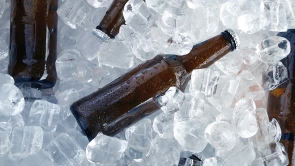 Cold Beers Packed In Ice