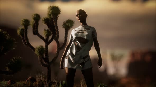 Woman in Torn Shirt Standing By Cactus in Desert at Sunset