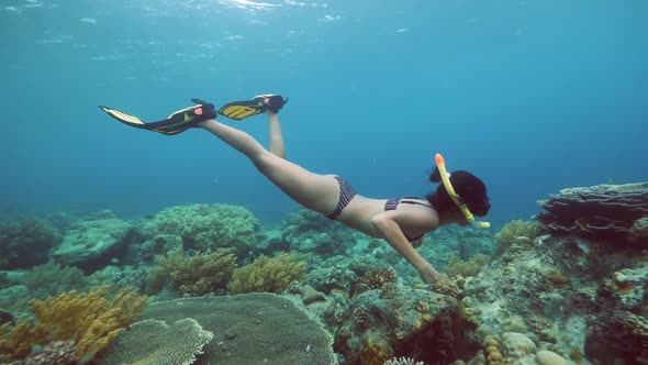 A Young Woman Wih Toned Body Snorekeling and Swiming Underwater Near the Corals.