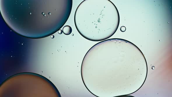 Abstract Colorful Food Oil Drops Bubbles 178 alt