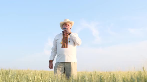 A Wonderful Harmonica Plays Against the Background of a Field and a Blue Sky