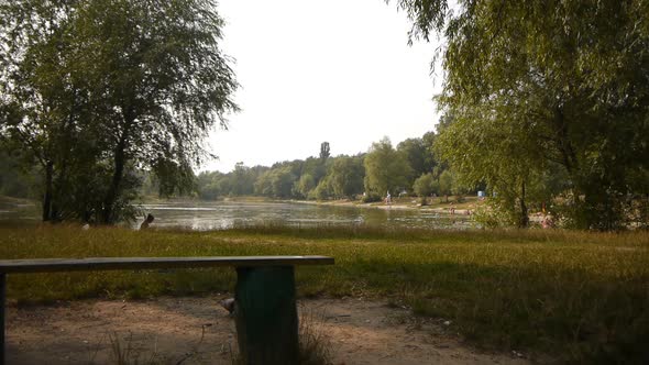 Rest By The Park Lake