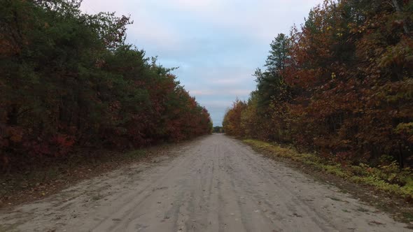 Drone moving forward over dirtroad before lifting up between rows of trees