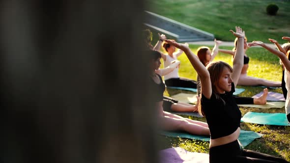 Group of Women Is Practicing Yoga and Raising Hands Above Heads in Slow Motion