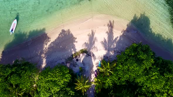 Aerial view nature of island beach wildlife by blue sea with sand background