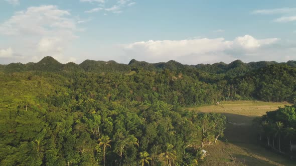 Jungle at Tropic Countryside Aerial Panorama Shot