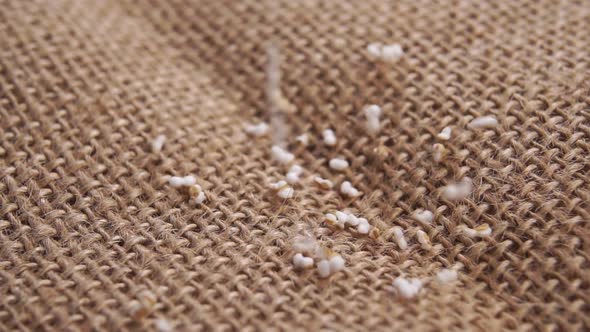 Falling popped amaranth grains on a rustic burlap surface in slow motion. Dry amaranthus seeds