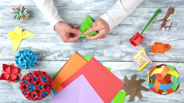 Person Folding Origami Frog, Fast Motion