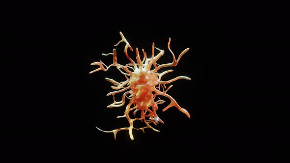 Virus, Covid-19 or Other Bacteria Cell on Alpha alt