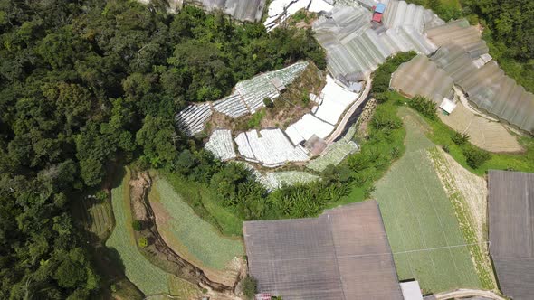 Cameron Highlands, Pahang Malaysia