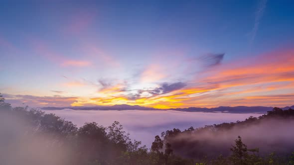 4K Beautiful morning sunrise and fog in tropical rainforest, misty mountain forest fog in phang nga 