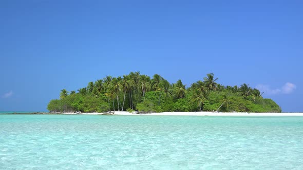 Whole Tropical Island with Palm Trees in Wild Ocean