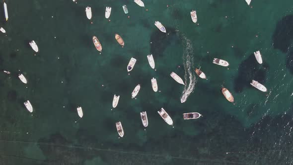 Aerial view of sailing boats in Procchio, Elba Island, Italy.