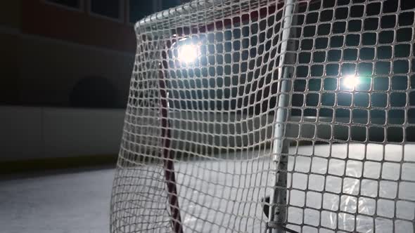 The Hockey Puck Hits the Net Scored a Goal