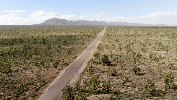 Aerial View of Endless Desert Straight Dusty Asphalt Road in Joshua Tree Park. USA.