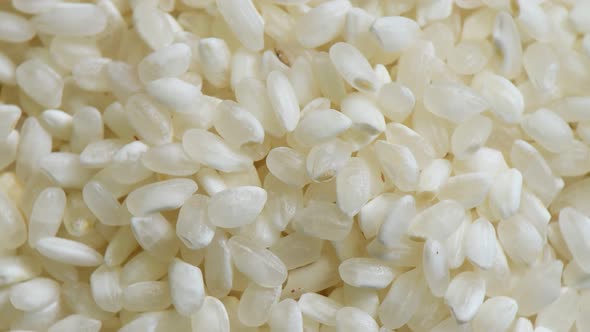 Beautiful Rice Grains