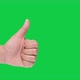 HAND (Green Sceen) hand signal - Good, Like #2 - VideoHive Item for Sale