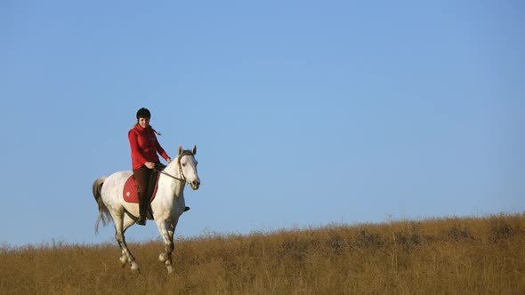 Horsewoman Riding a Horse Galloping Across the Field