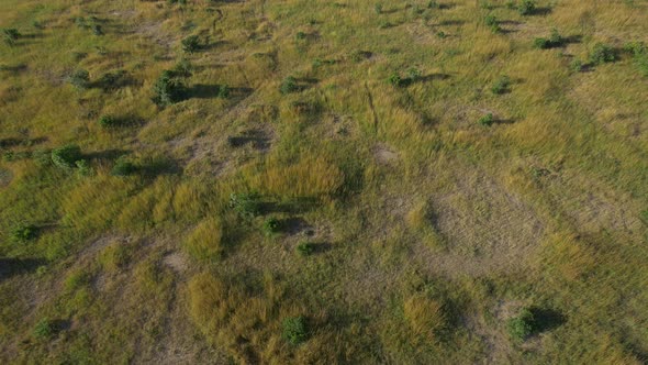 Aerial view of green plains