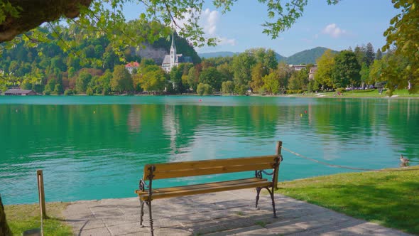 Wooden Bench Standing in Green Park Against Bled Lake