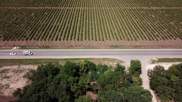 Aerial View of Highway Road Between Meadow and Agricultural Field