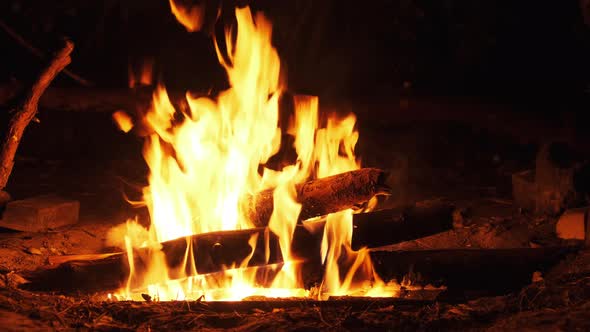 Bonfire Burning at Night in Slow Motion. Flames of Campfire at Nature.