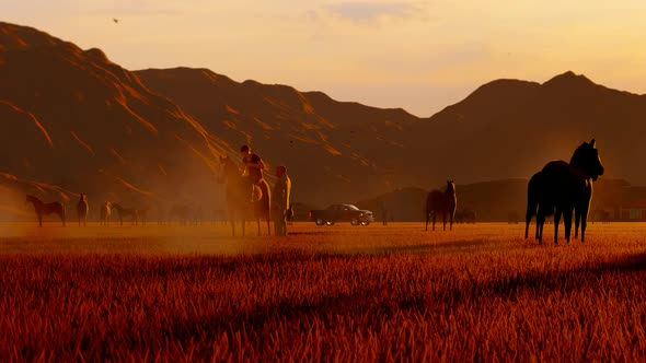 Grazing Wild Horses Herd and Young Man Riding a Horse