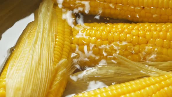 Boiling Corn at the Pan