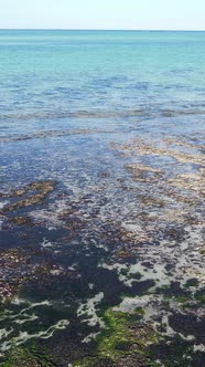 Vertical Video of Low Tide in the Ocean Near the Coast of Zanzibar Tanzania