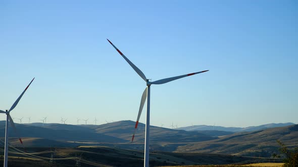 Wind Tribunes and Landscapes