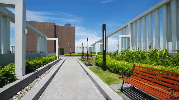 Modern Style Garden on the Buiding Rooftop with Clear Blue Sky Background