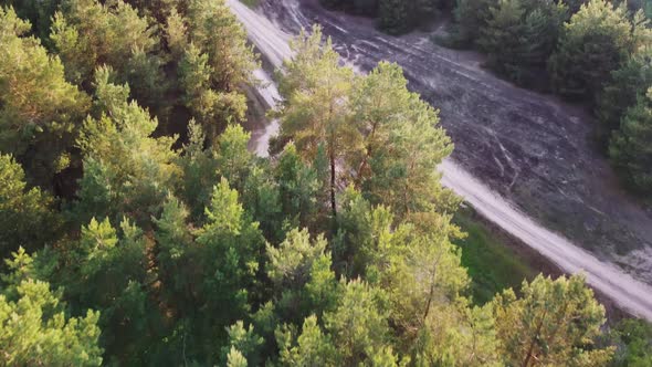 Aerial View Of Green Forest Landscape