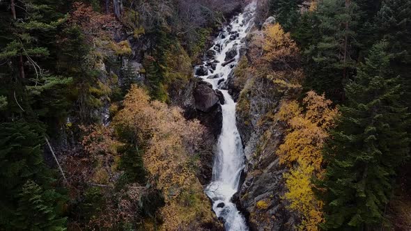 Mountain River Washes Stones in Forest