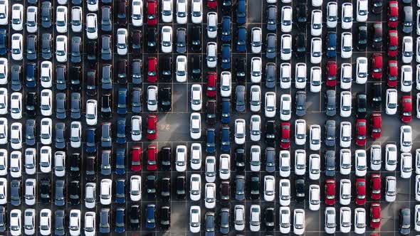 Motion Across Rows of Finished Cars and Flying Small Bird